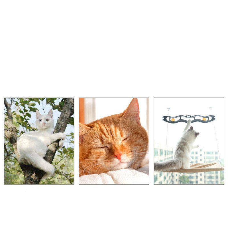 Pet Litter Sucker Hanging Cat Window Hammock - Paw Pet
