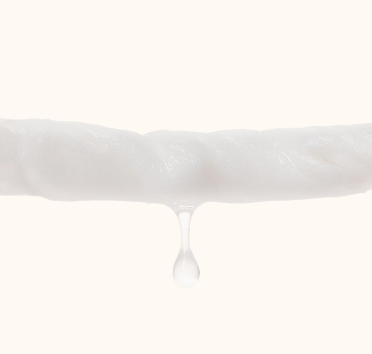 Pet Wipes Cat Dog Wipes - Paw Pet