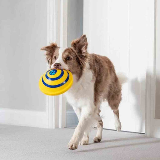 Sounding Disc Woof Glider Soft & Safe Indoor Pet Dogs Play Toy Pets Unique Interacts Entertainment Toys - Paw Pet