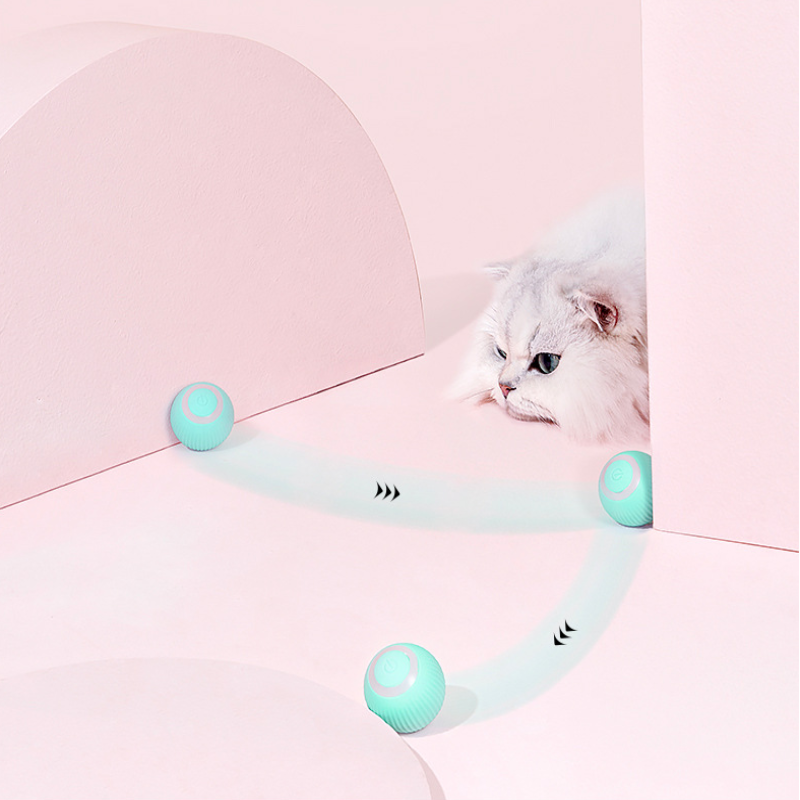 Cat Gravity Intelligent Rolling Ball Tease Toy Pet Automatic Rotating Ball - Paw Pet