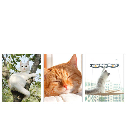 Pet Litter Sucker Hanging Cat Window Hammock - Paw Pet