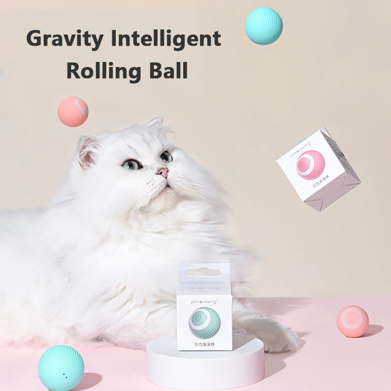 Cat Gravity Intelligent Rolling Ball Tease Toy Pet Automatic Rotating Ball - Paw Pet