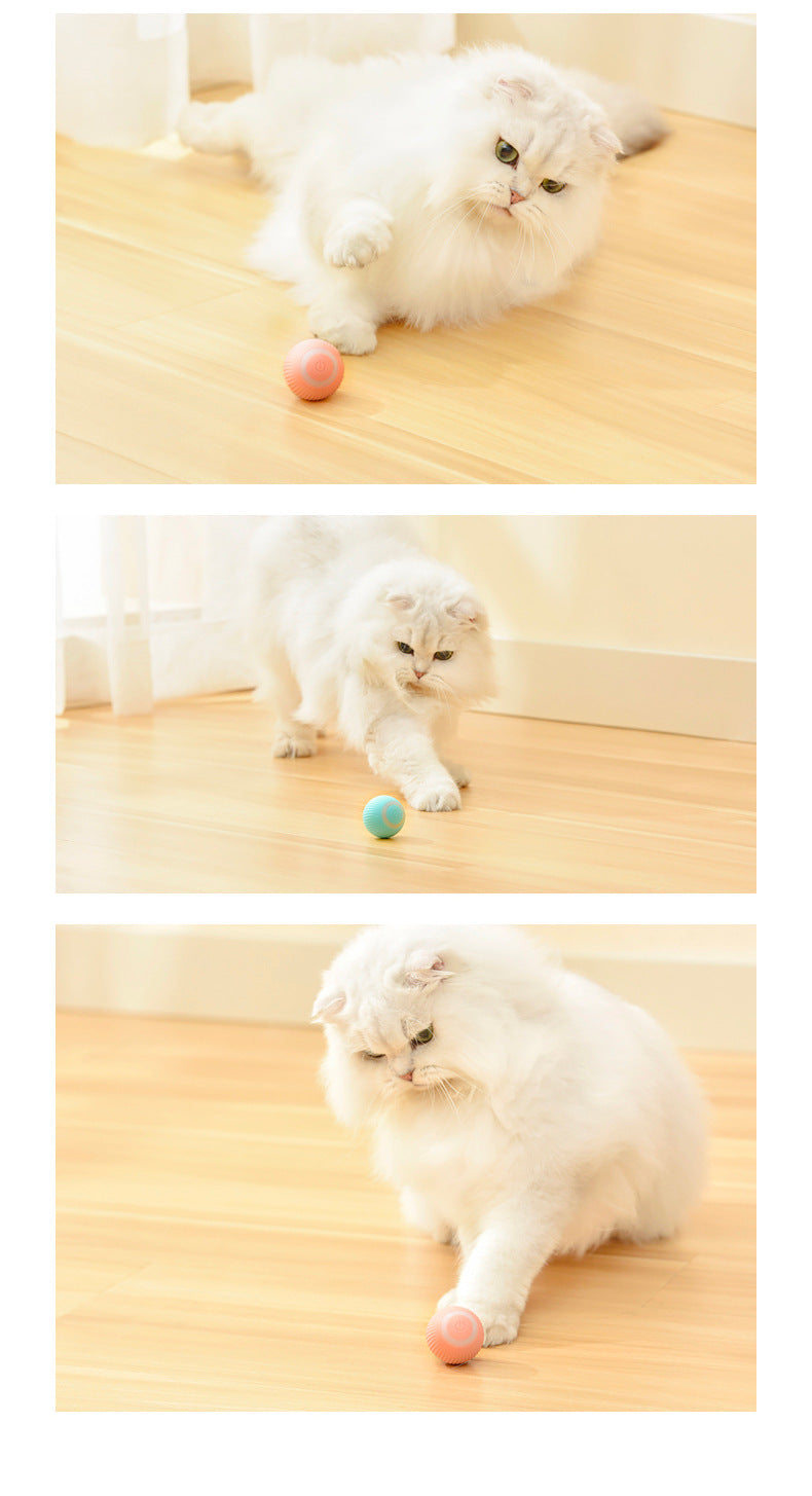 Cat Gravity Intelligent Rolling Ball Tease Toy Pet Automatic Rotating Ball - Paw Pet