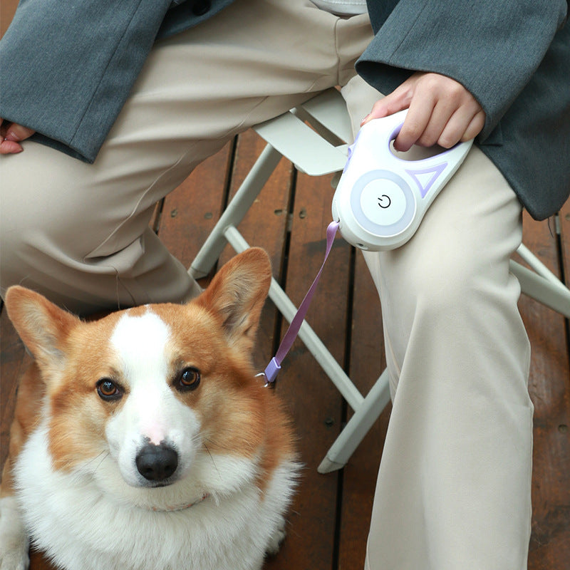 Dog Leash Retractable Leash And Dog Collar Spotlight Automatic Pet Dog Cat Traction Rope For Small Medium Dogs Pet Product - Paw Pet