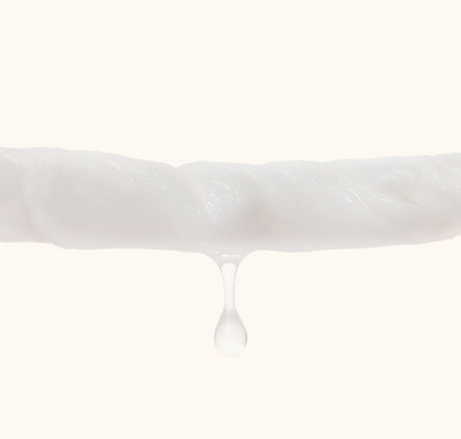 Pet Wipes Cat Dog Wipes - Paw Pet